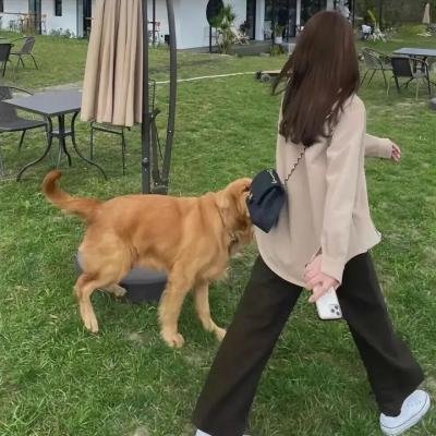 隐形的声影